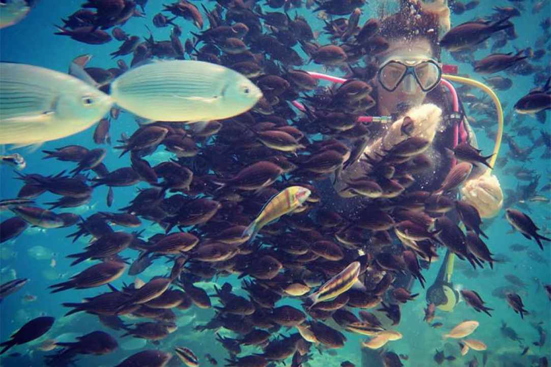 Cyprus Diving Centre gallery image 2