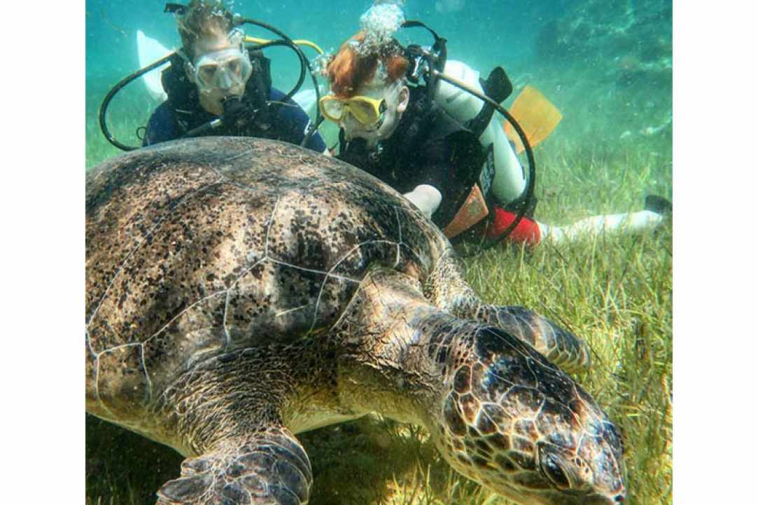 Cyprus Diving Centre