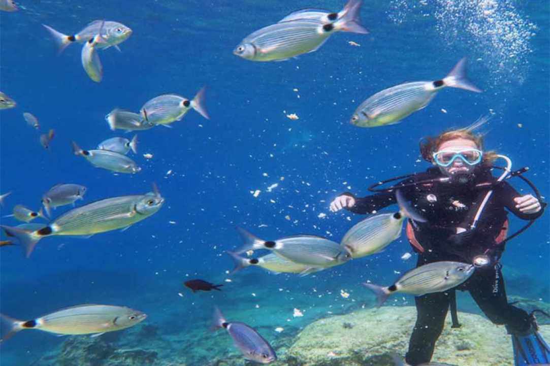 Cyprus Diving Centre gallery image 5