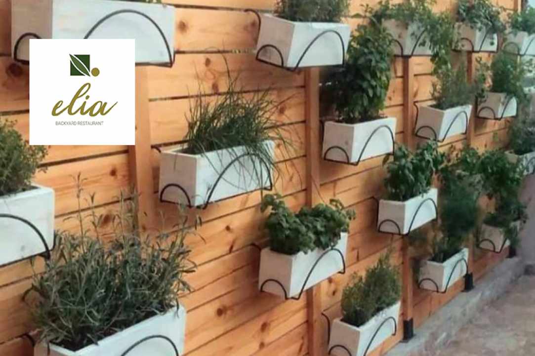 Elia Backyard Restaurant gallery image 3