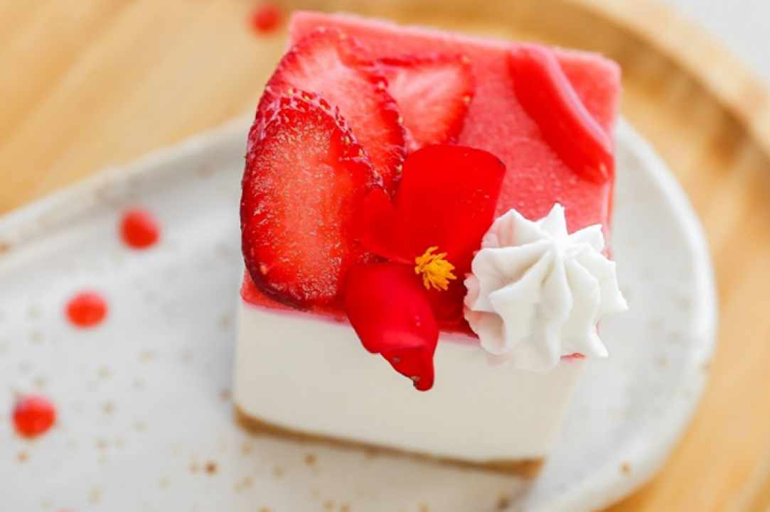 FRESHA Healthy Cuisine gallery image 5