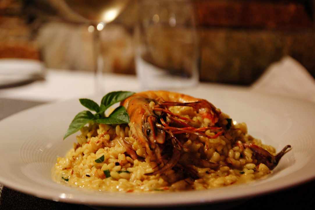 Gourmet Taverna