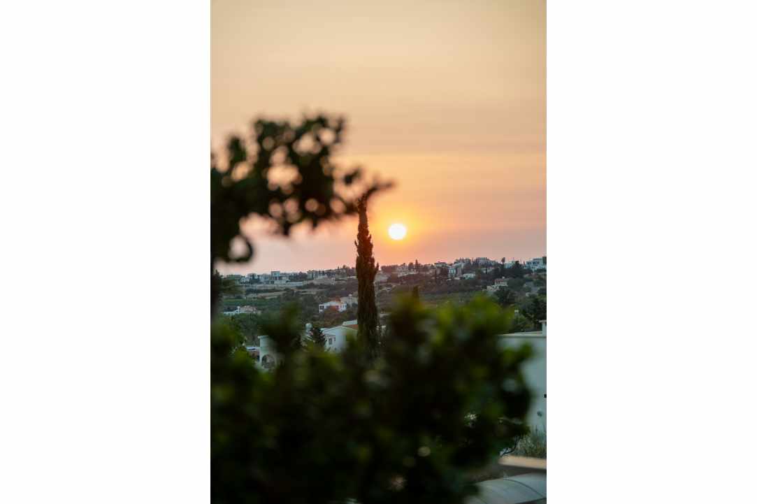 Neos Roof Garden