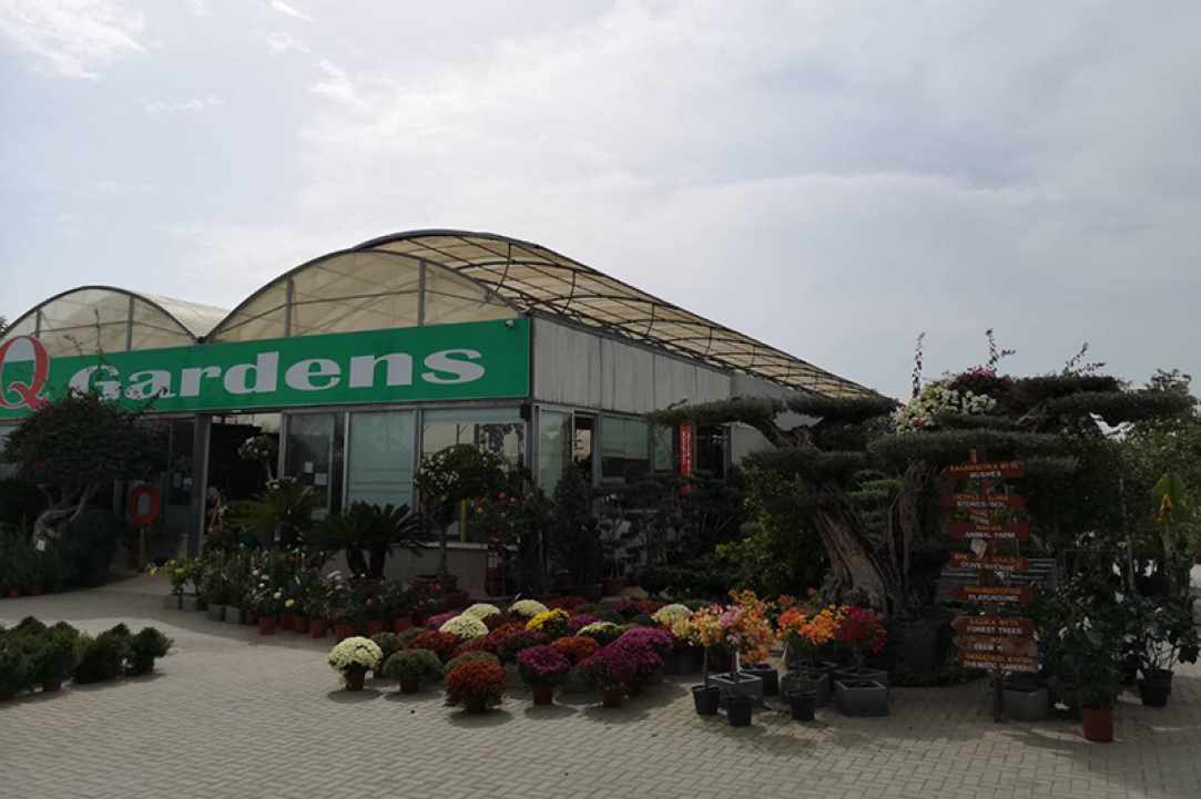 Q Gardens