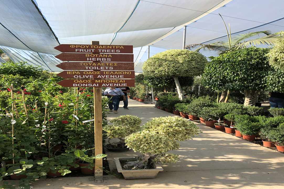 Q Gardens