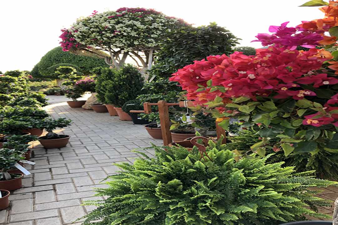Q Gardens gallery image 2