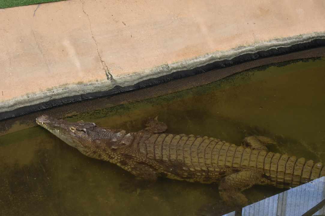 Ocean Aquarium gallery image 4