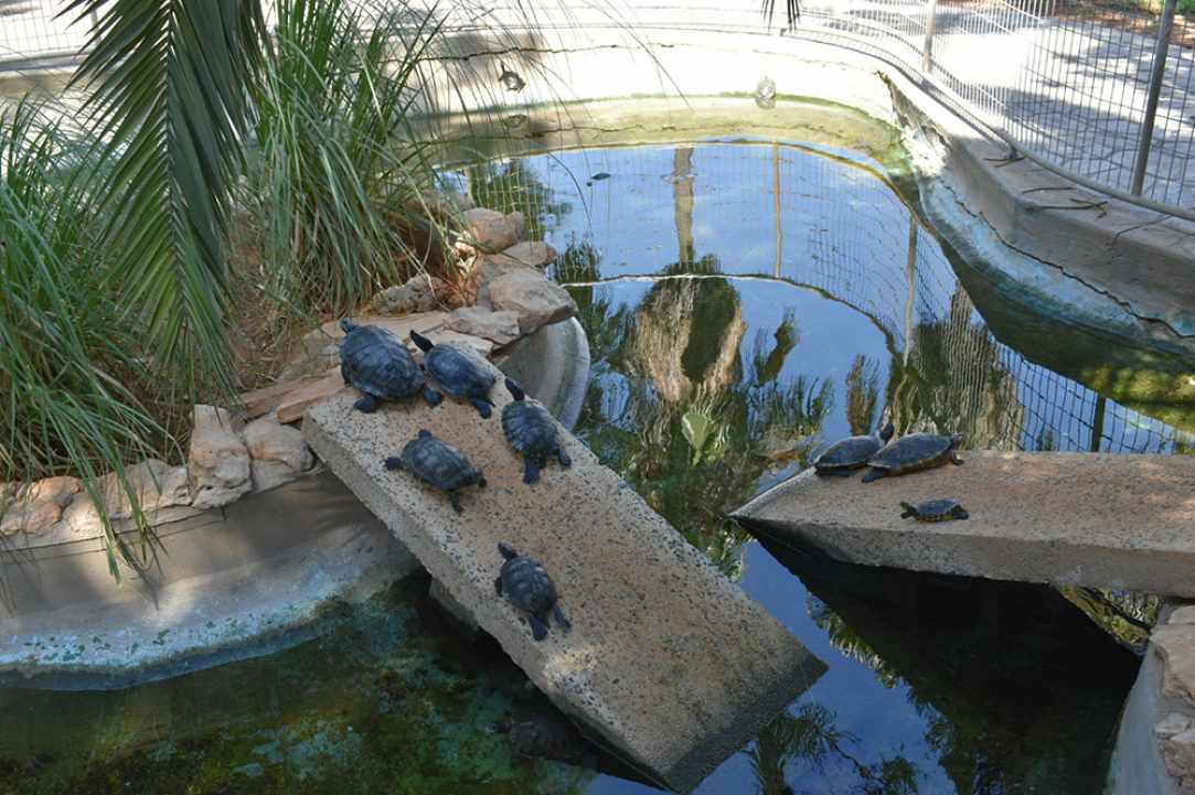 Ocean Aquarium gallery image 2