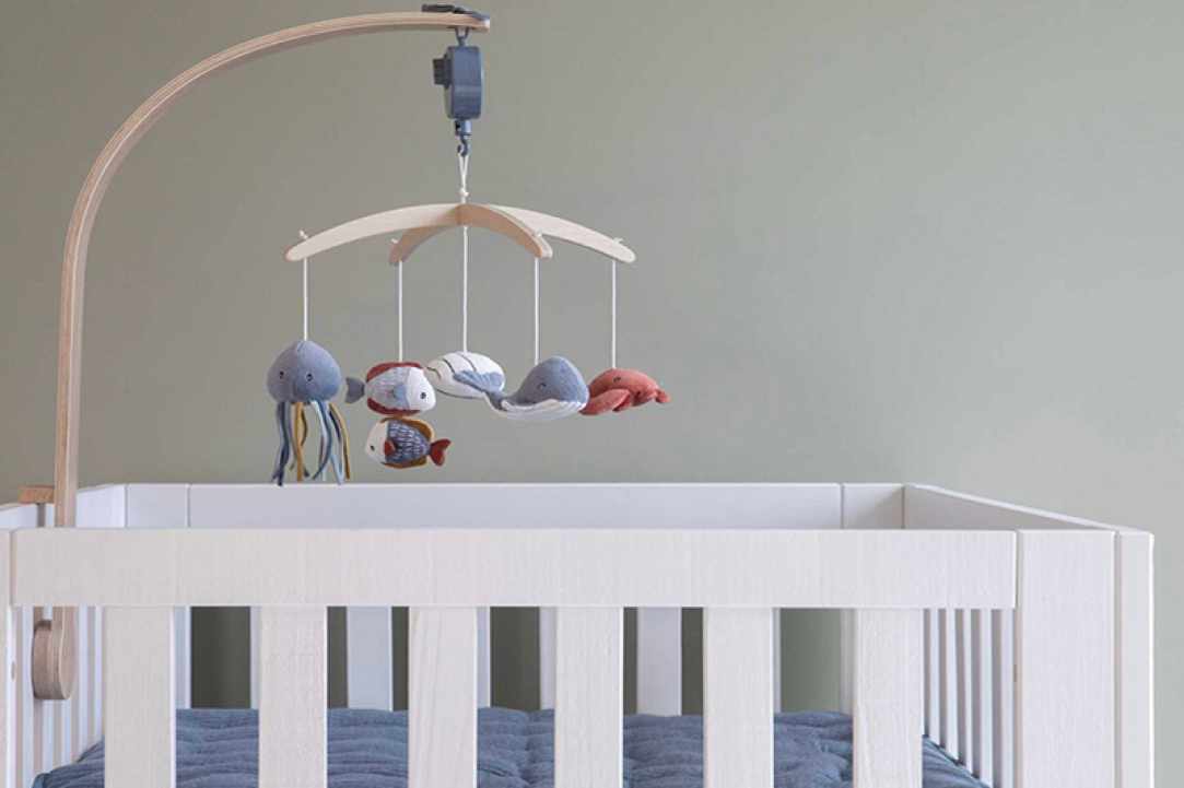 Jellyfish Kids gallery image 2
