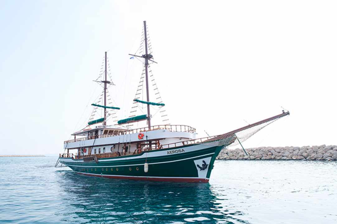 A.A.K. Larnaca Napa Sea Cruises gallery image 4