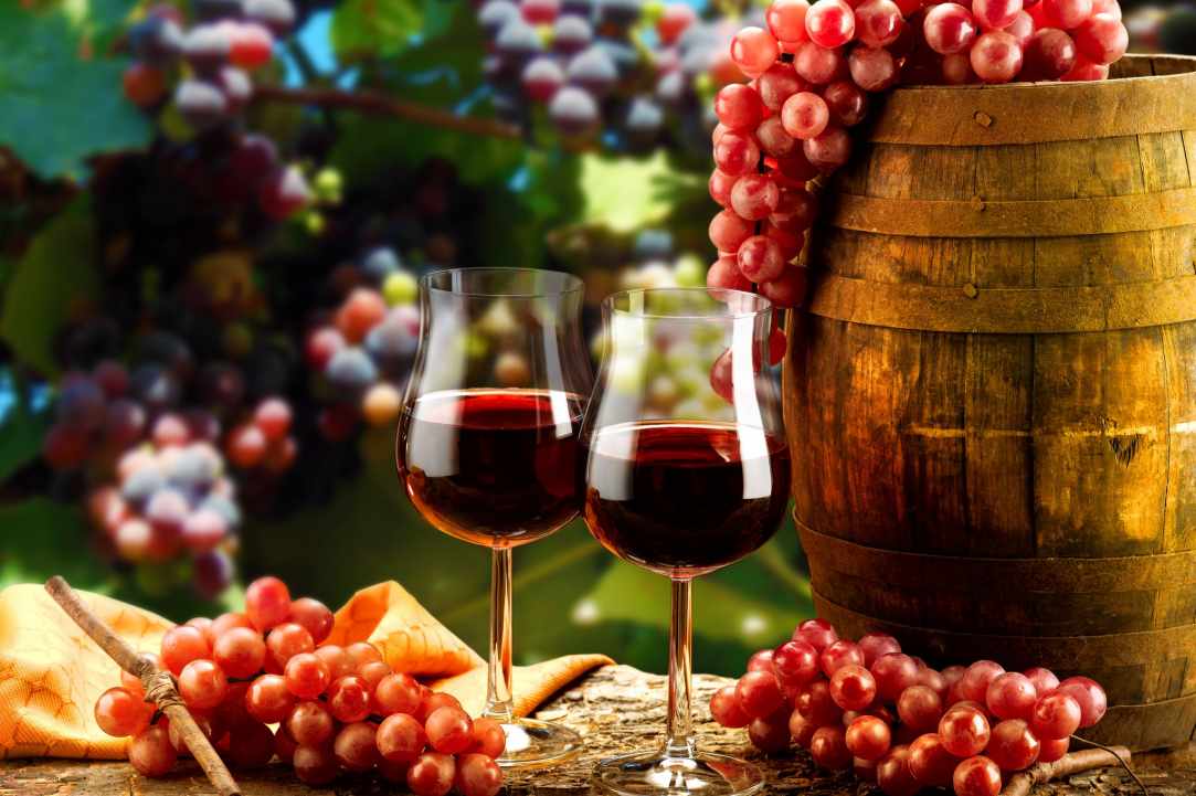 Lion Spirit Winery - Lambouri Winery Ltd gallery image 3