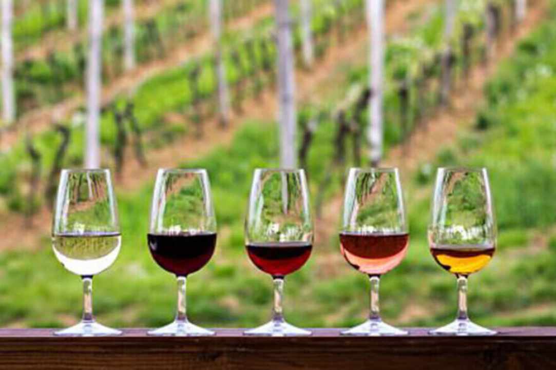 Makkas Winery gallery image 1