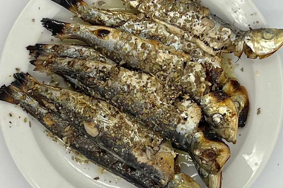 Mostra Meze Tavern gallery image 3