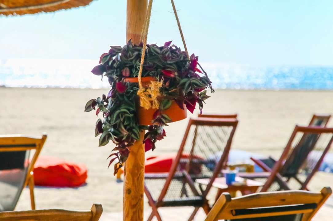 NUSA Beach Bar