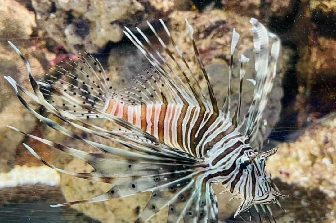 Ocean Aquarium