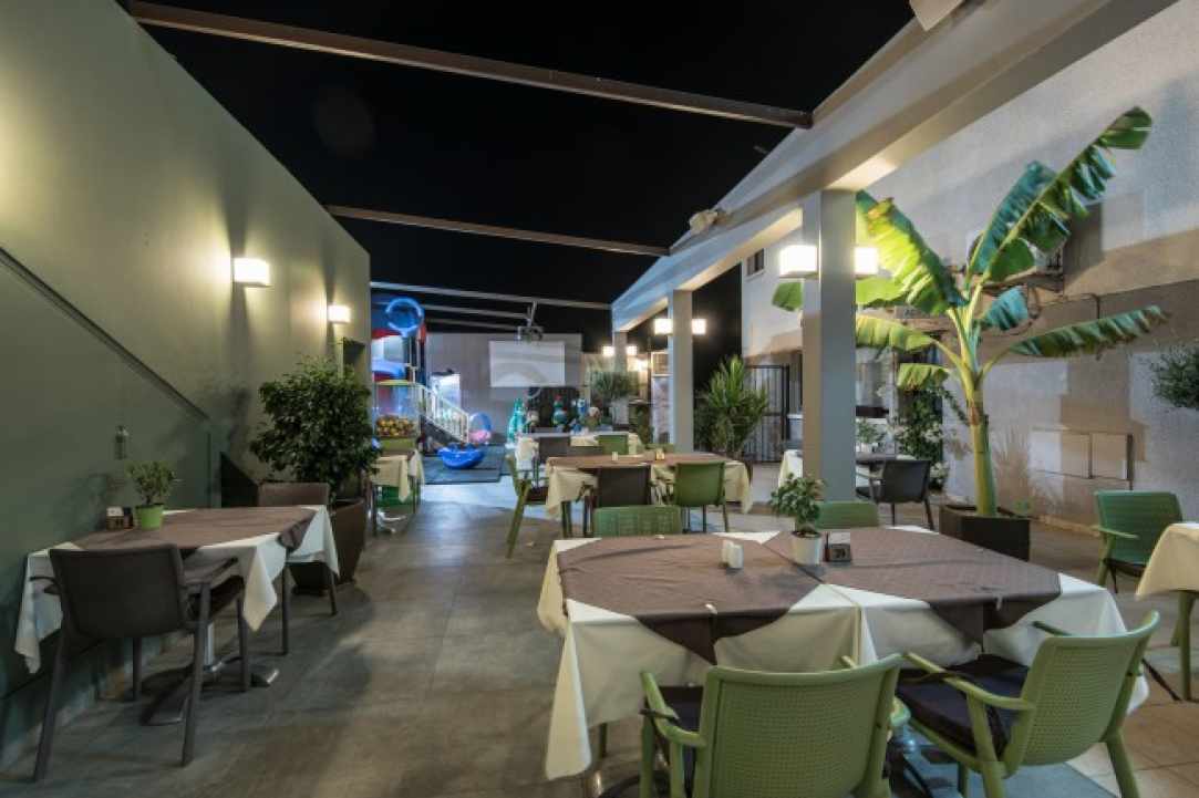The Olive Tree Restaurant