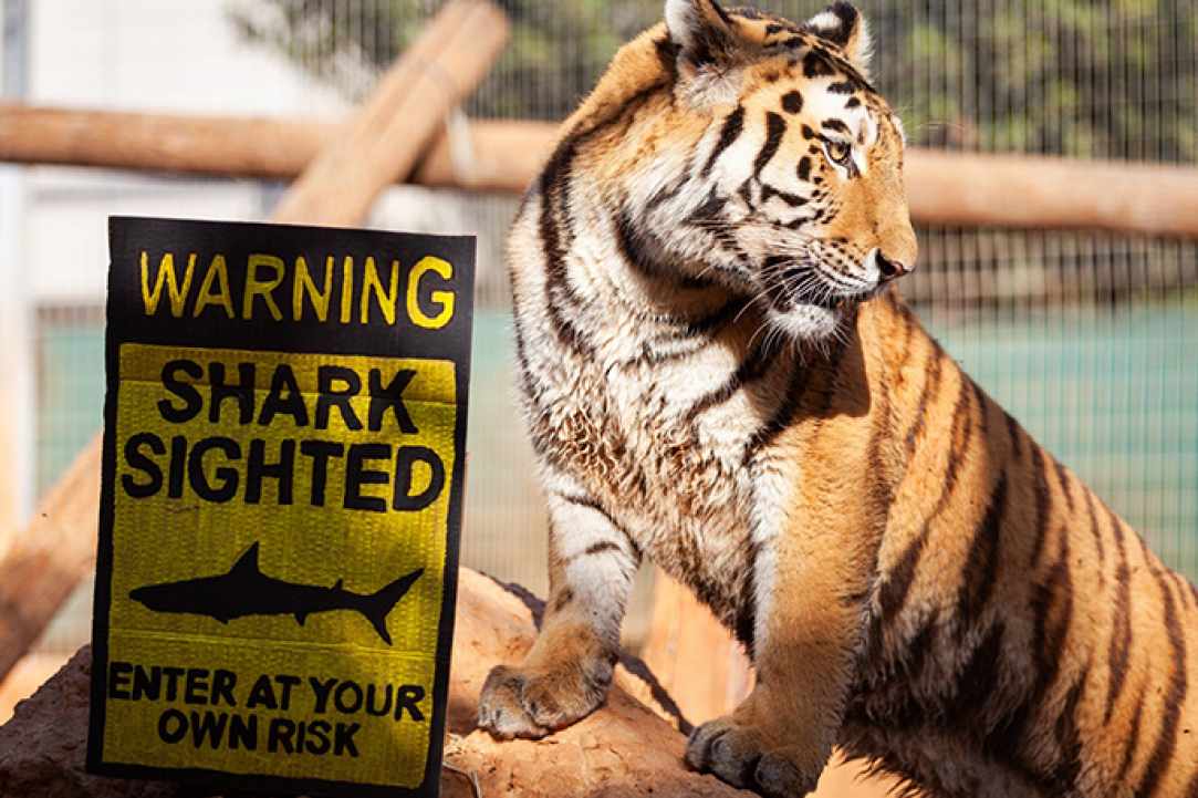 Pafos Zoo gallery image 2