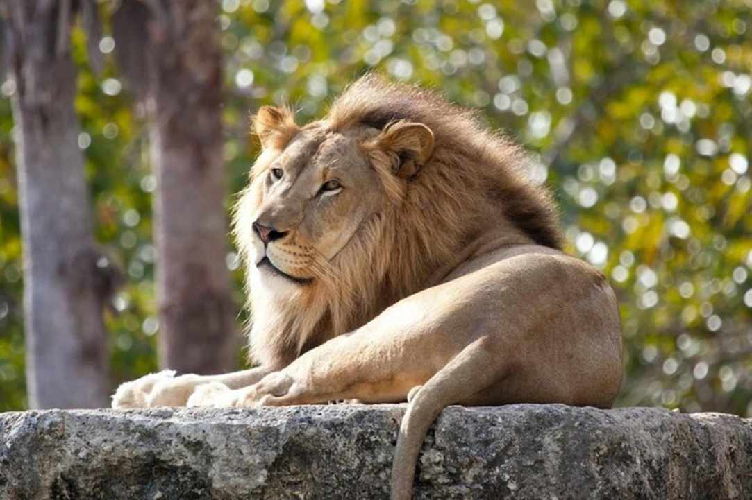 Pafos Zoo gallery image 3