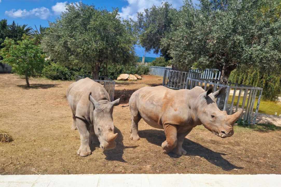 Pafos Zoo gallery image 5