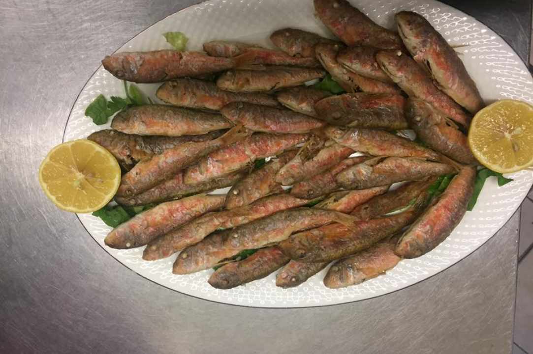 Rizokarpaso Fish Tavern gallery image 5