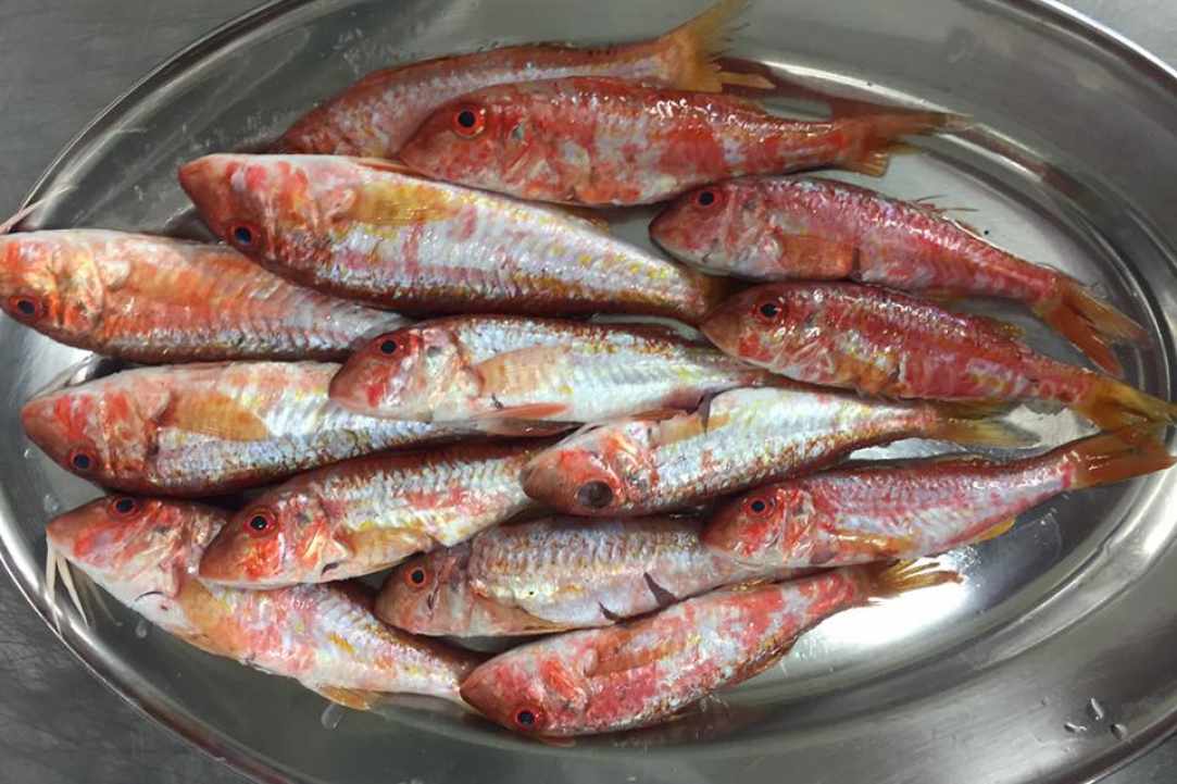 Rizokarpaso Fish Tavern