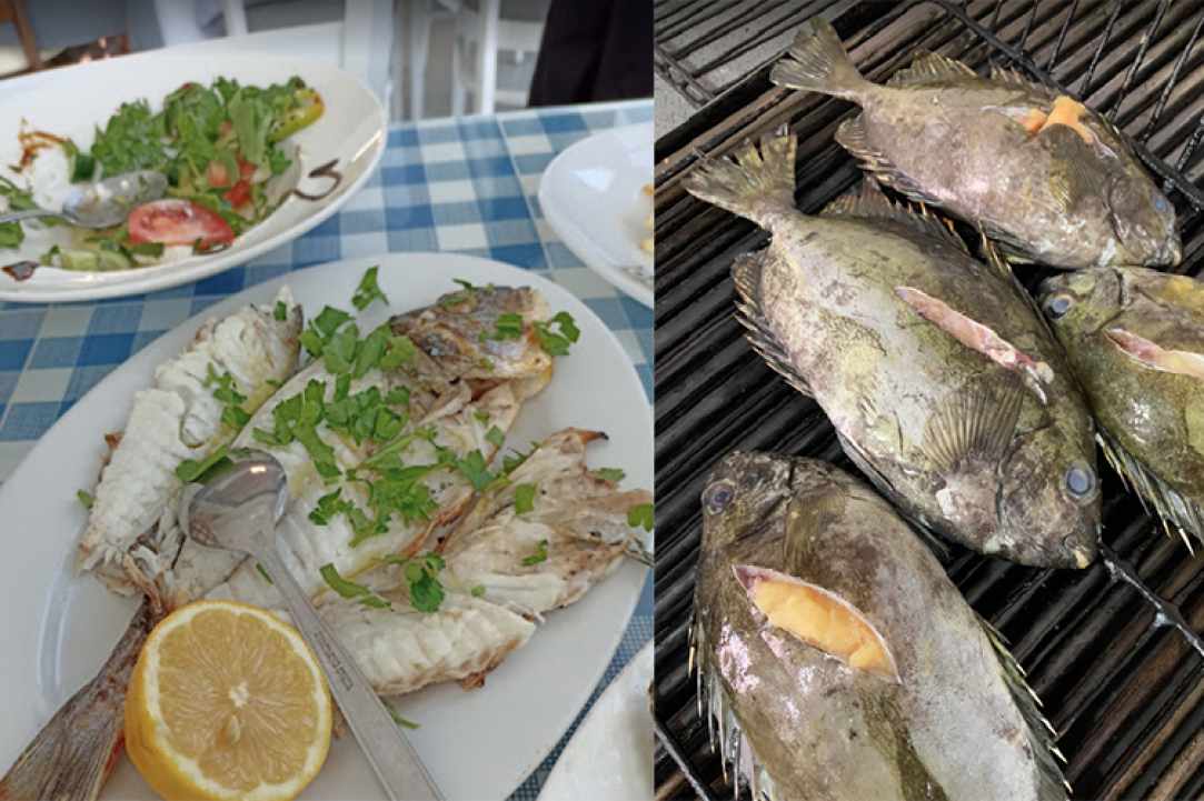 Rizokarpaso Fish Tavern gallery image 2