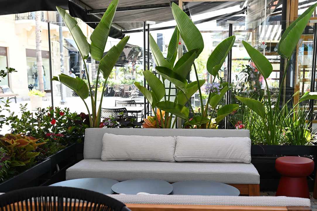 Second Cup Cafe Bistro Ermou gallery image 5