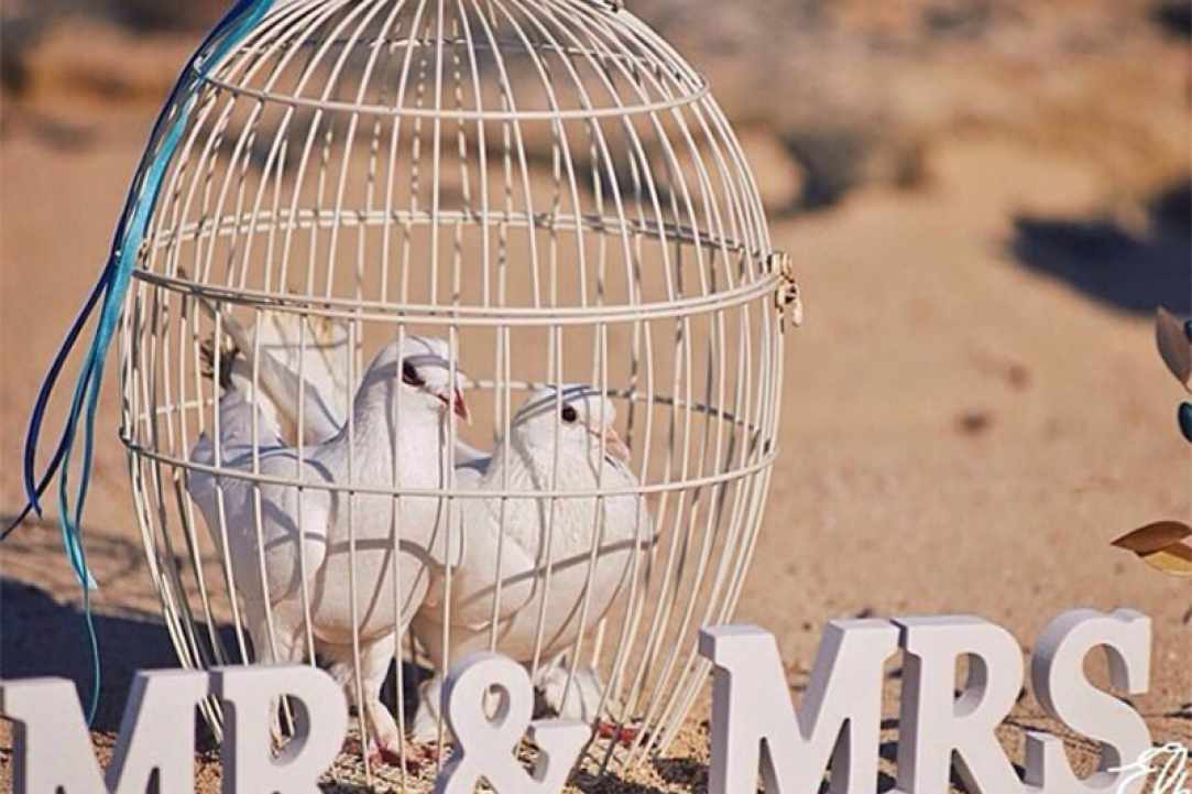 Sotira Weddings (свадьбы)