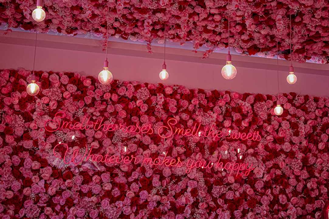 Stephanie Rose Confectionery