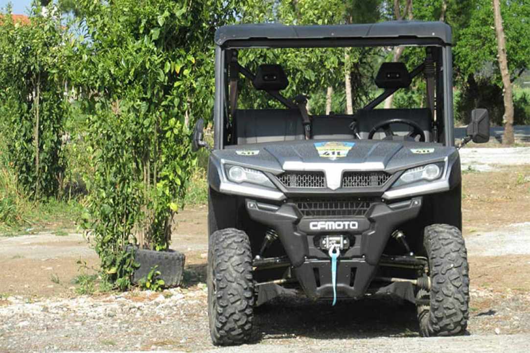 The Golden Ride Rentals gallery image 2
