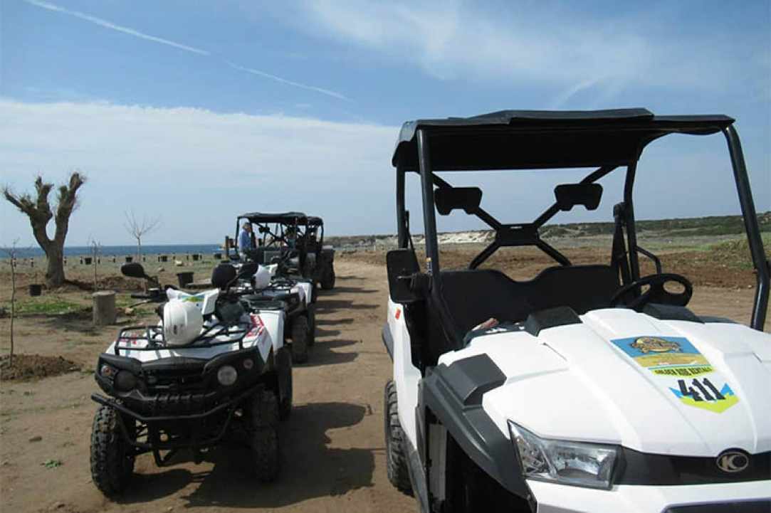 The Golden Ride Rentals gallery image 4