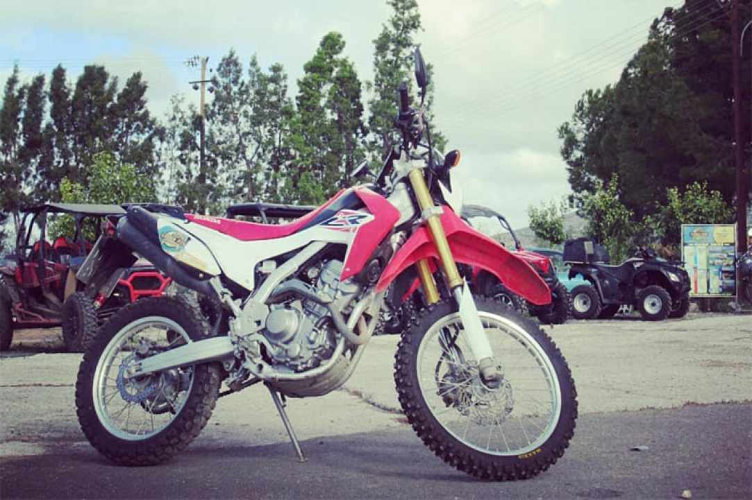 The Golden Ride Rentals gallery image 5