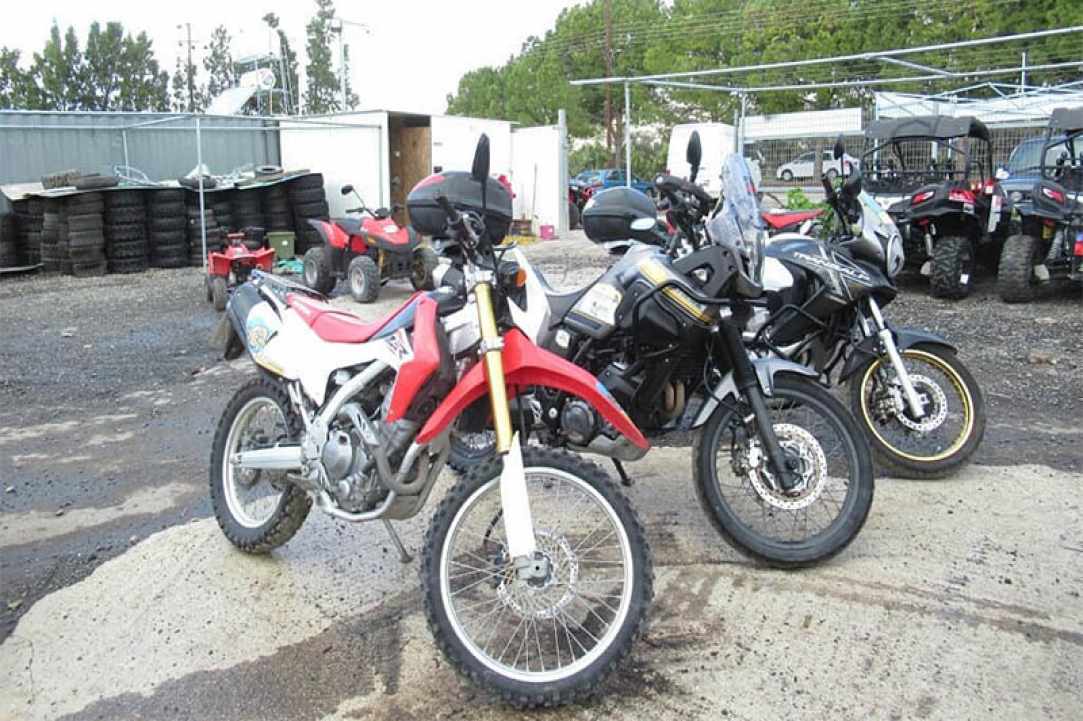The Golden Ride Rentals gallery image 3