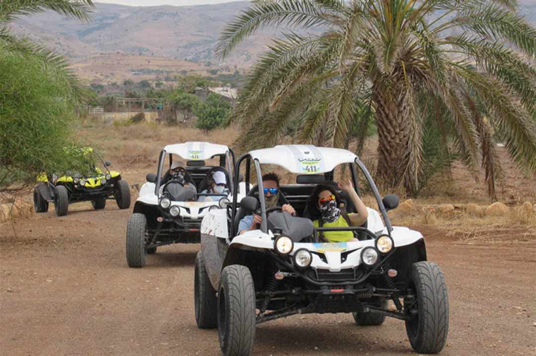 The Golden Ride Rentals