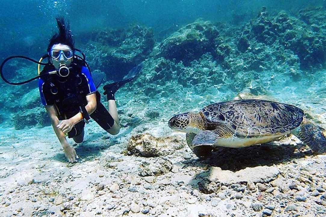 Viking Divers