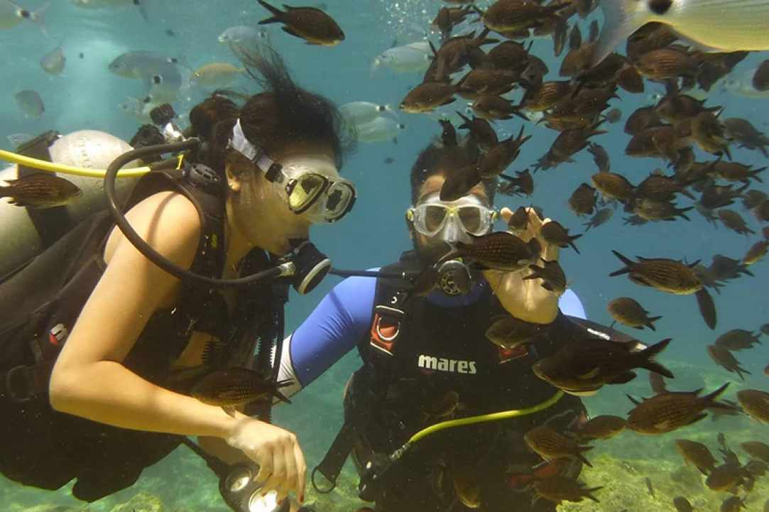 Viking Divers