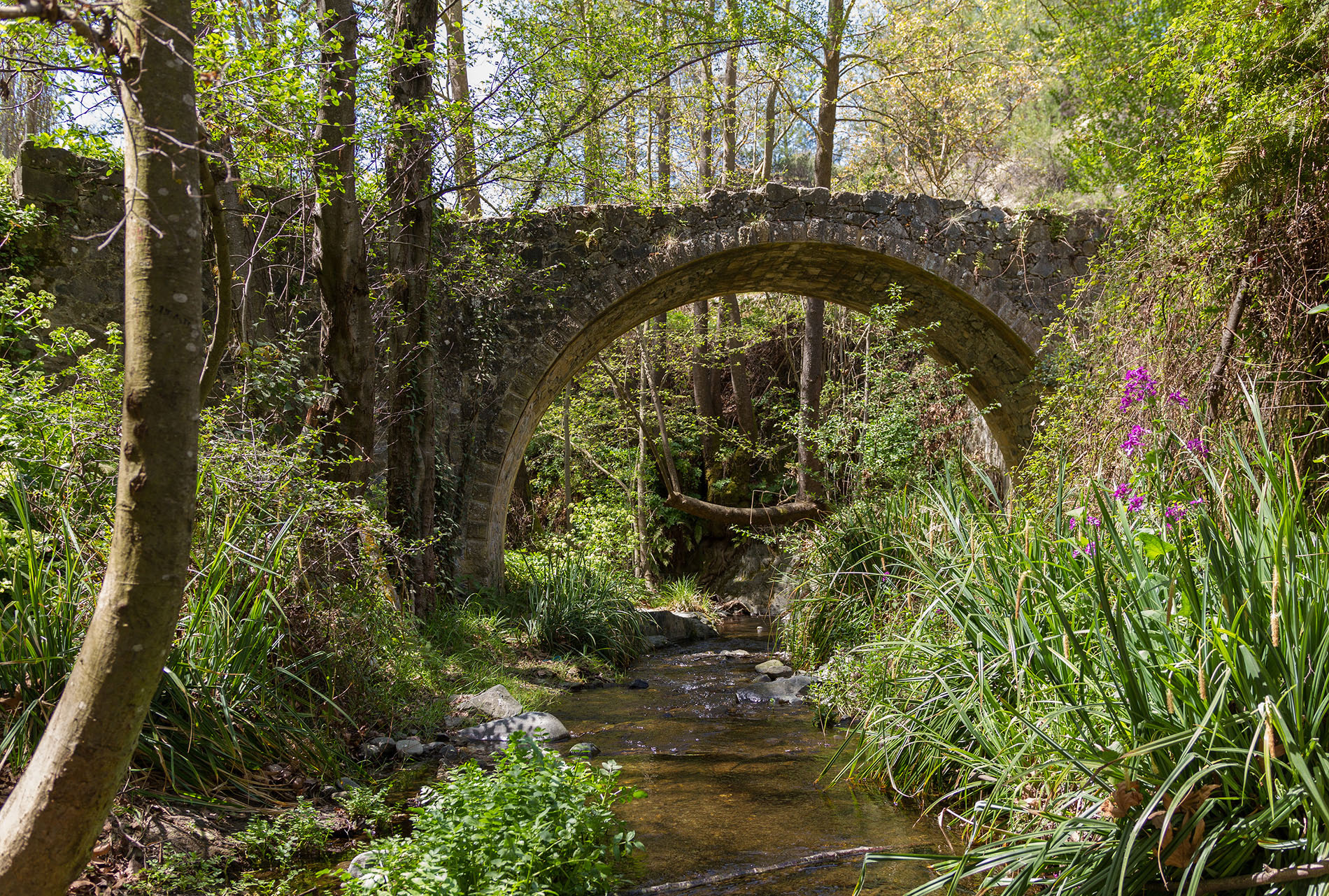 Excursions in Cyprus