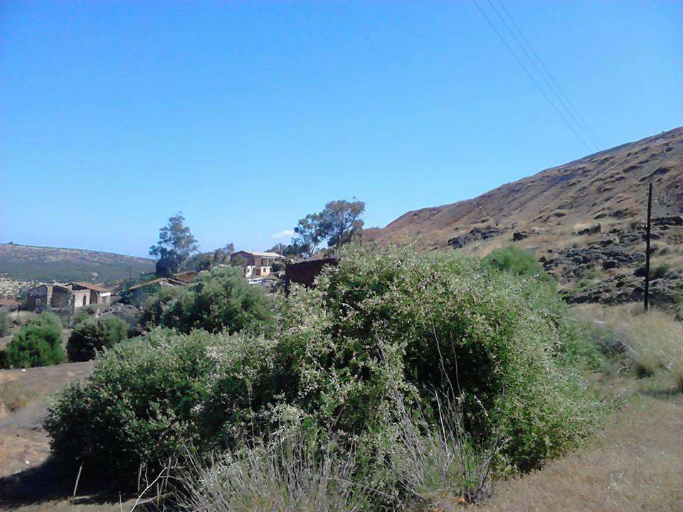 Agios Georgios Soleas