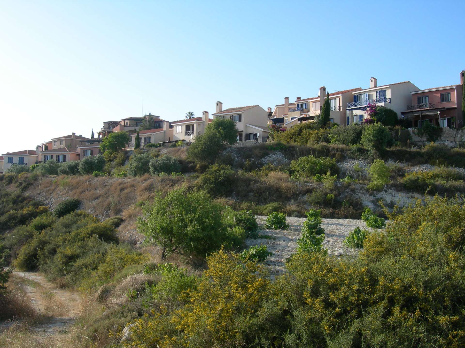Tsada