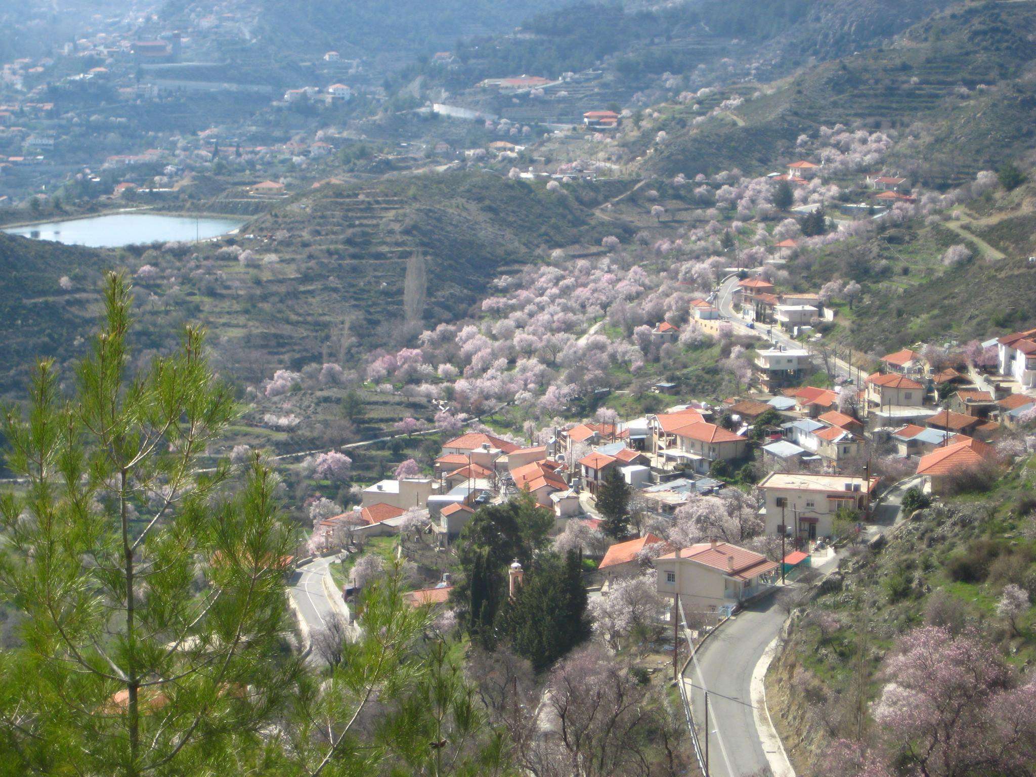 Chandria