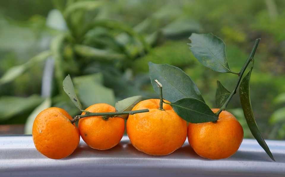 4th Mandarin festival 2024