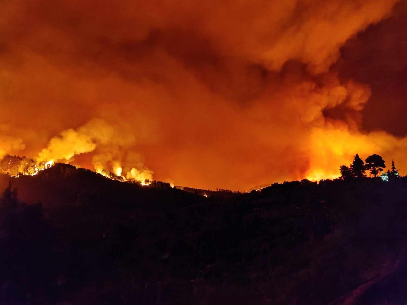 Σήμερα σκούπισα το δάσος της Εύβοιας από τη βεράντα μου
