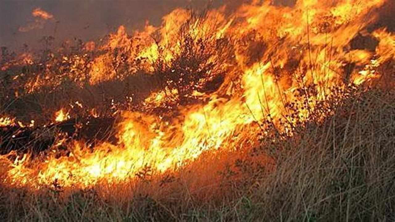 Δασική πυρκαγιά σε περιοχή της κοινότητας Μαθιάτη