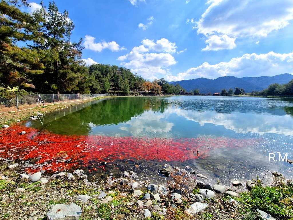 Όταν η φύση ζωγραφίζει το αποτέλεσμα μαγεύει!