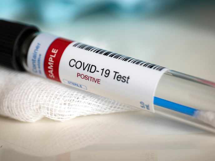 Τα σημεία για rapid test αύριο