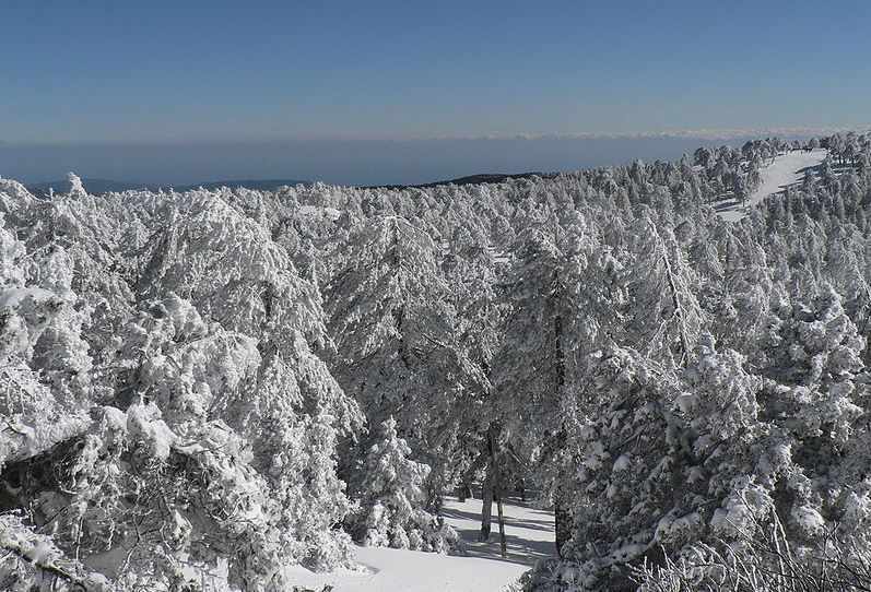 Winter in Cyprus