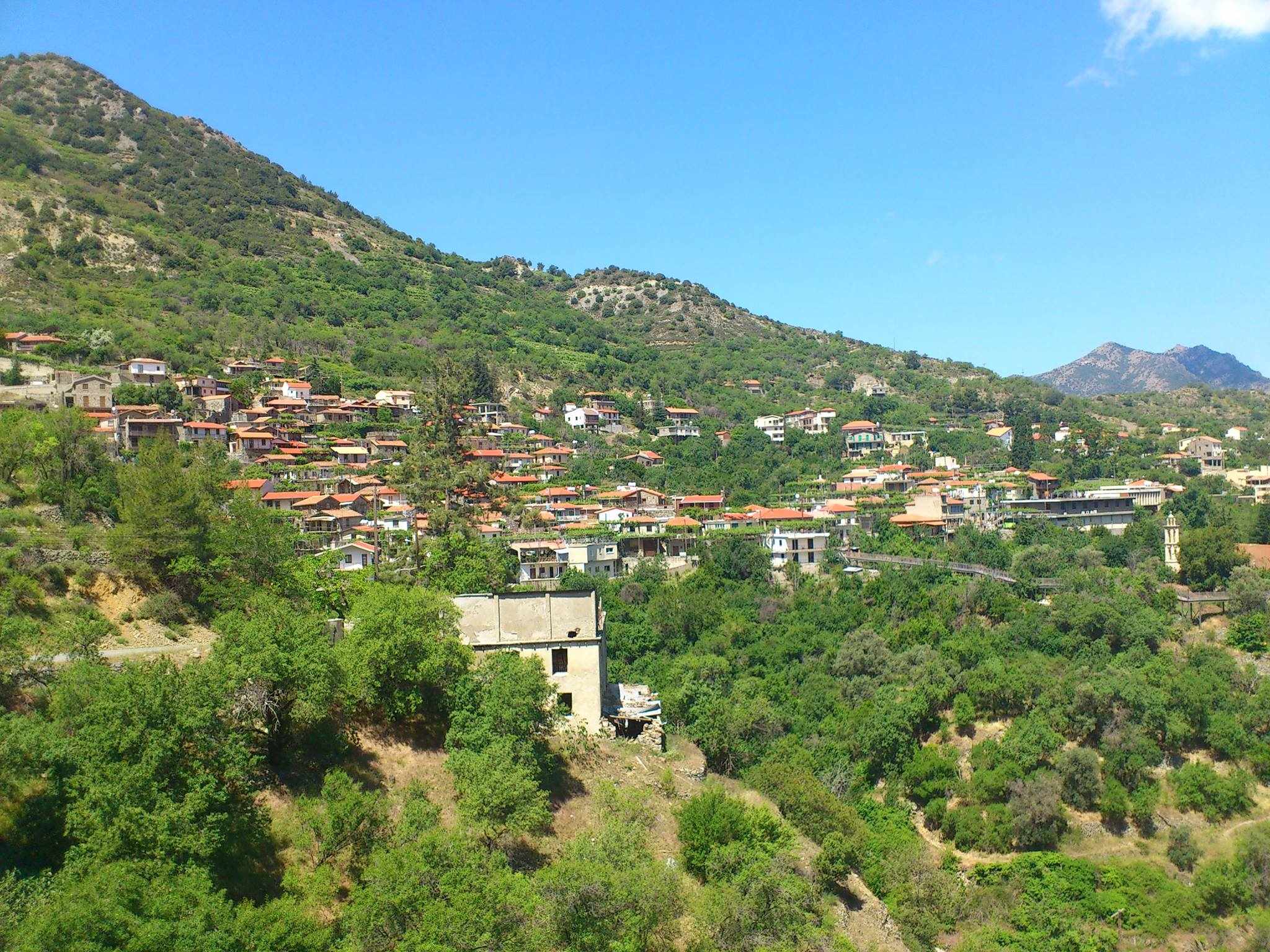 Καλοκαιρινό Φεστιβάλ Άλωνας