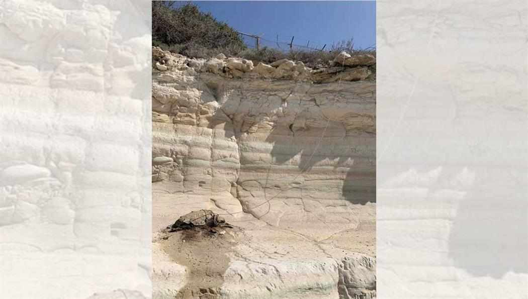 Πόσο ηλίθιος μπορεί να είναι κάποιος