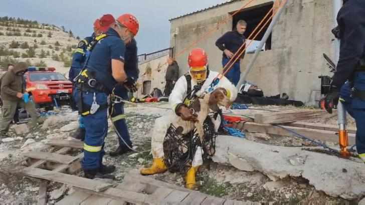 Κακοποίηση σκυλιών που βρέθηκαν σε λάκκο 17 μέτρων.