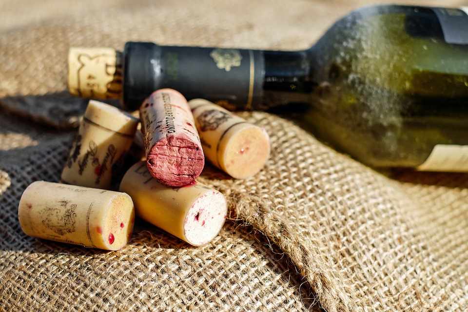 1st Festival of Traditional Tastes and Exhibition of Traditional Products